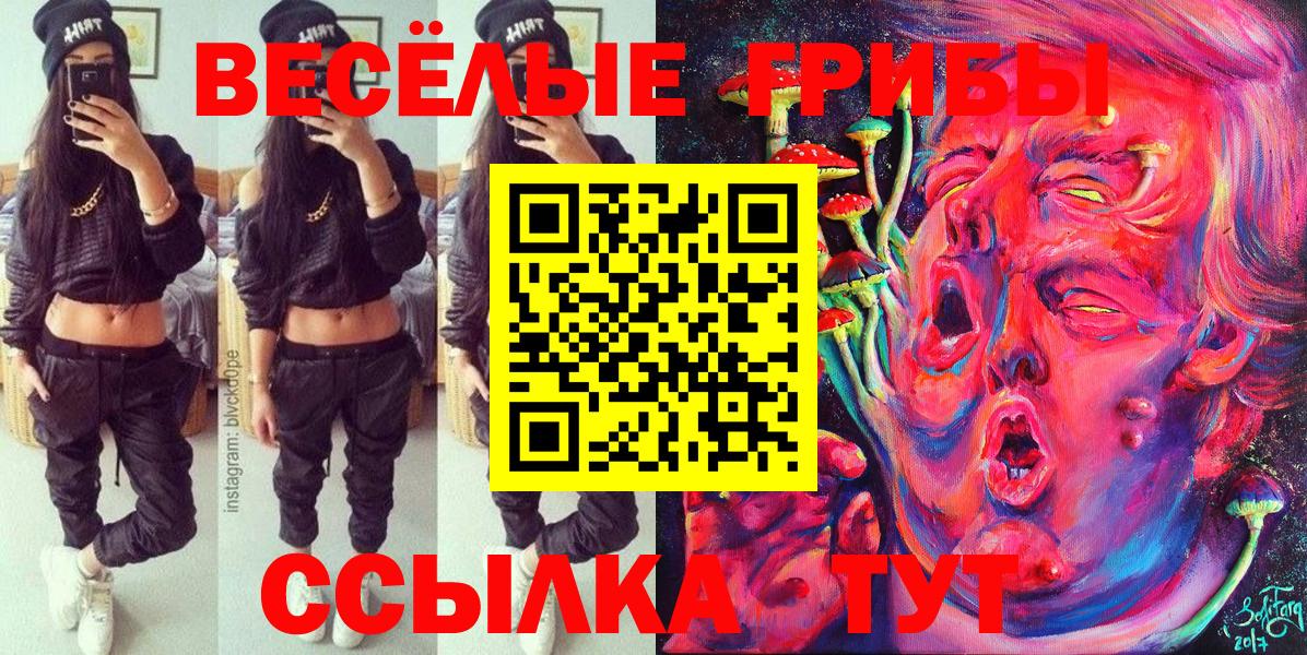 Псилоцибиновые грибы Psilocybe Сосновый Бор